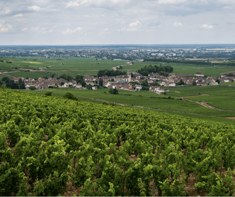 le village du vin pommard